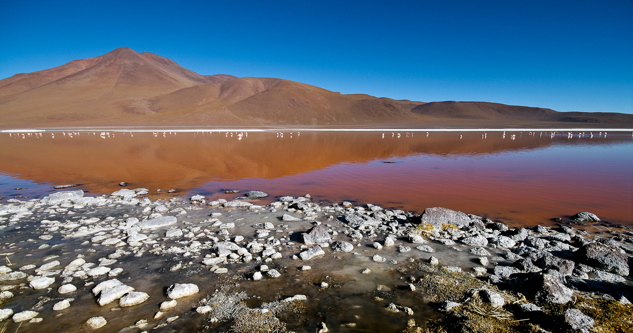 Laguna Colorada