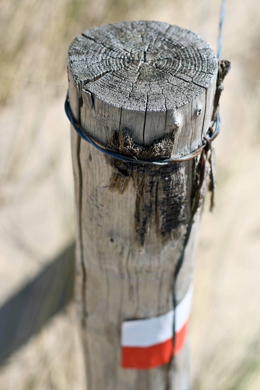 Pole with wiring